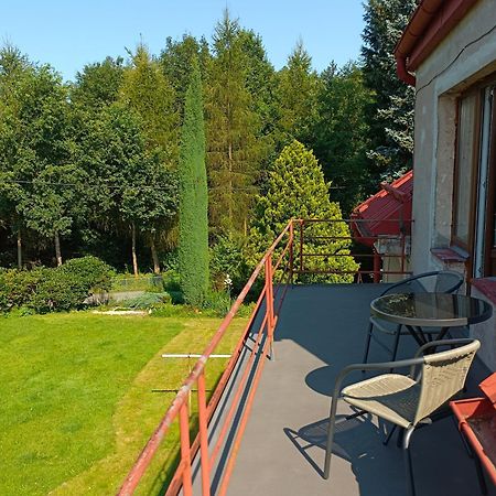 Apartman Za Lesem Červený Kostelec Kültér fotó
