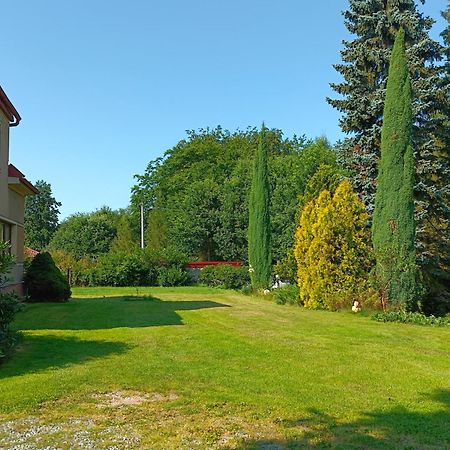 Apartman Za Lesem Červený Kostelec Kültér fotó