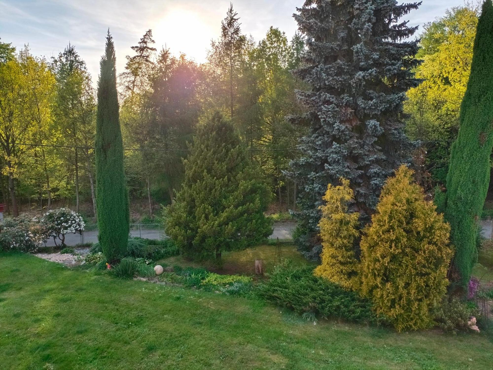 Apartman Za Lesem Červený Kostelec Kültér fotó